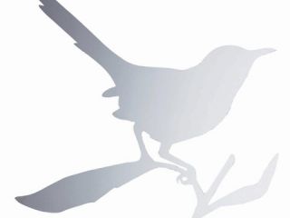 Specchio TAYLOR BIRD - Driade